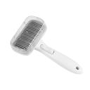 Bert Pet Brush Grey front