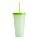 Snox Tumbler Green front
