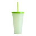 Snox Tumbler Green front